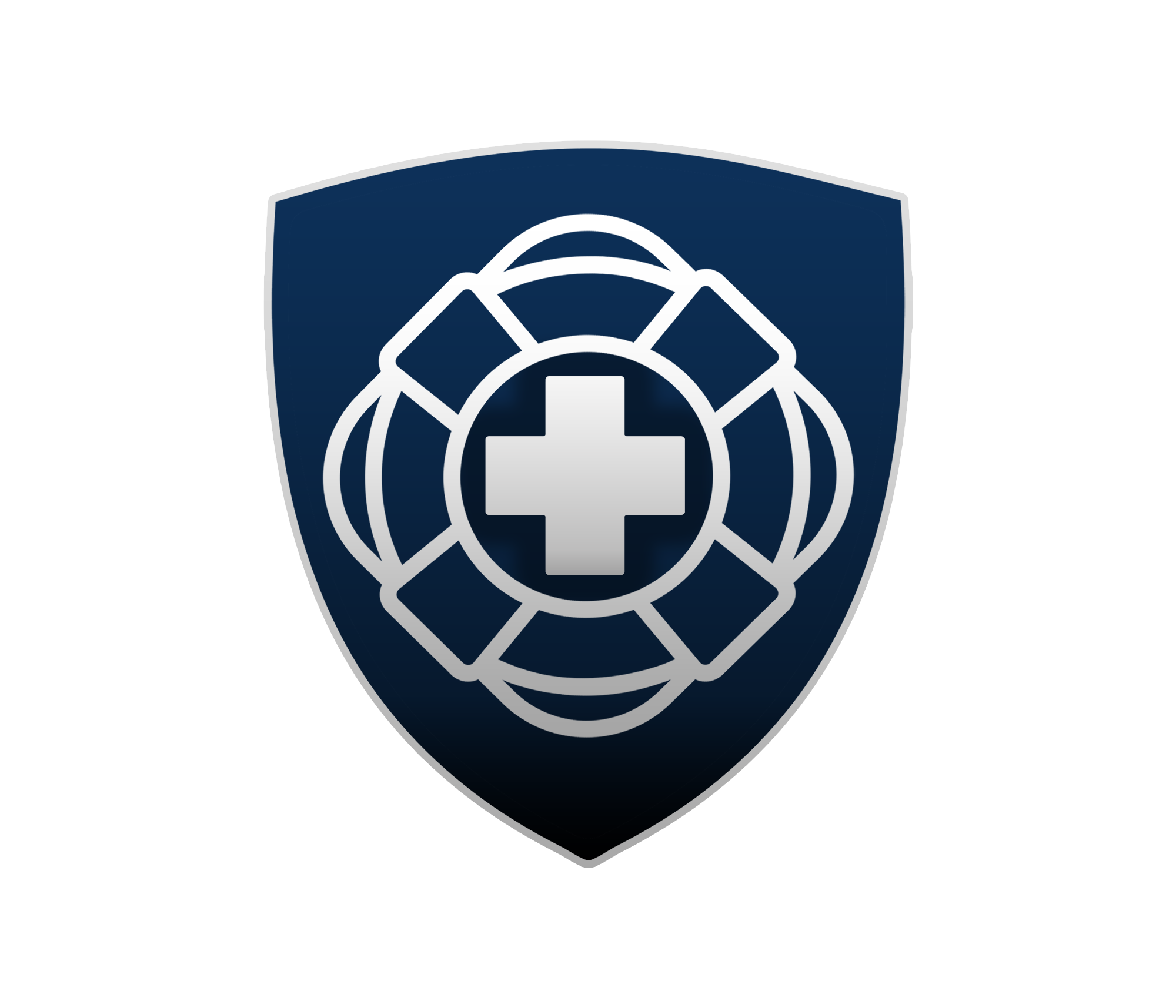 Lifeguarding Academy logo